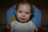 12 Months Old
