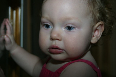 14 Months Old