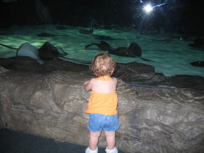 Lizzie at Stingray Bay