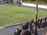Faculty