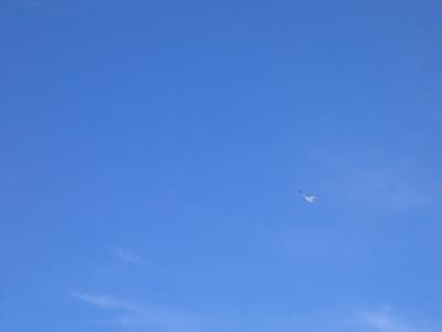 The Beautiful Sky