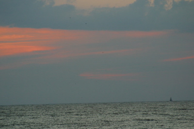 The Beach at Sunset