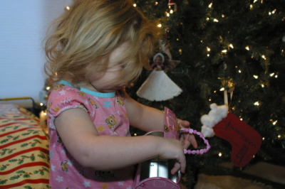 A Purse From Santa!